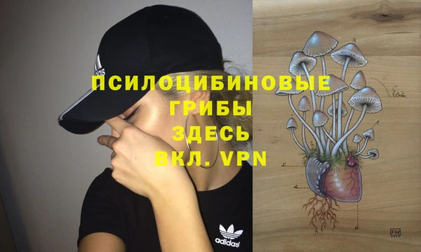марки lsd Богородск