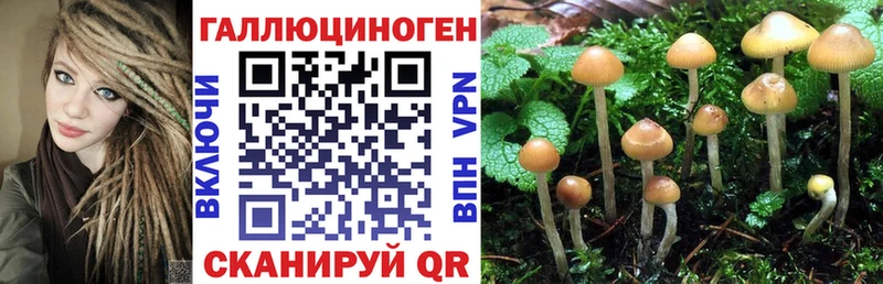 Купить  Данилов  Псилоцибиновые грибы ЛСД 